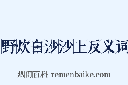 野炊白沙沙上反义词是什么意思的图片